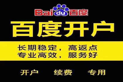 百度竞价推广助力企业品牌崛起案例